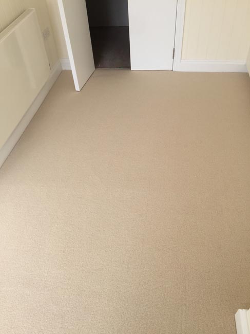 portfolio carpets beige carpet 270616 10