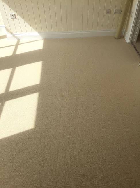 portfolio carpets beige carpet 270616 11
