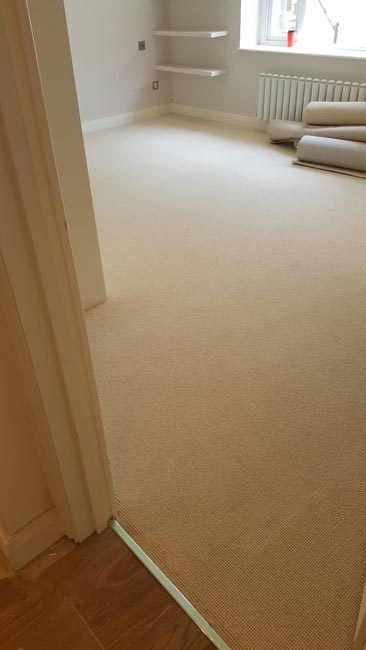 portfolio carpets beige rooms and stairs carpet 04