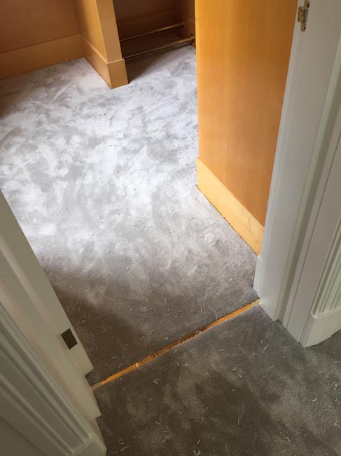 portfolio carpets luxury silkresse carpet rooms 300616 01