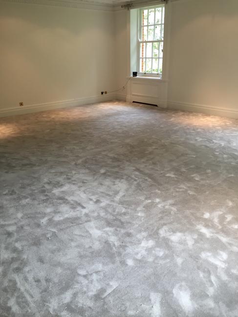 portfolio carpets luxury silkresse carpet rooms 300616 02