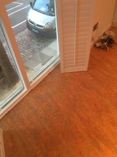 portfolio smooth floors marmoleum room 05