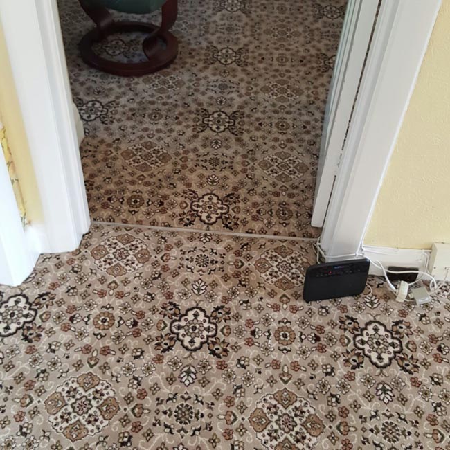 portfolio carpets nice patterned carpet rooms 03