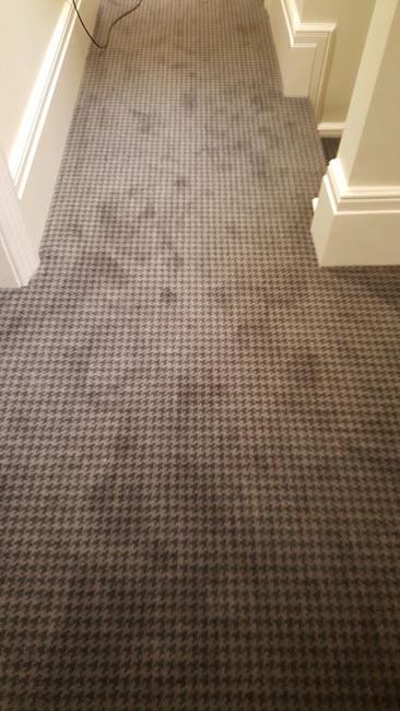 portfolio-carpets-squared-unique-carpet-on-stairs-02