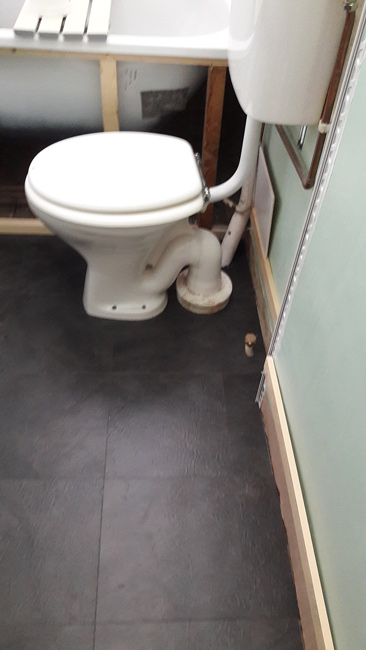 portfolio-smooth-floors-bathroom-in-amtico-design-01