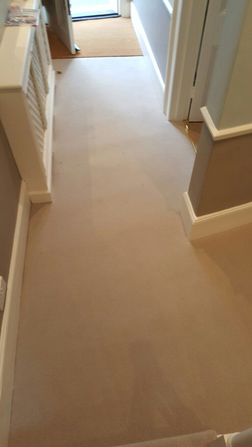portfolio-beige-carpet-in-areas-02