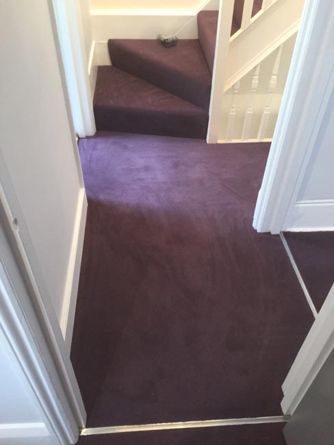 portfolio carpets purple carpet stairs and landings 04