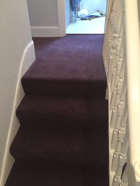 portfolio carpets purple carpet stairs and landings 09