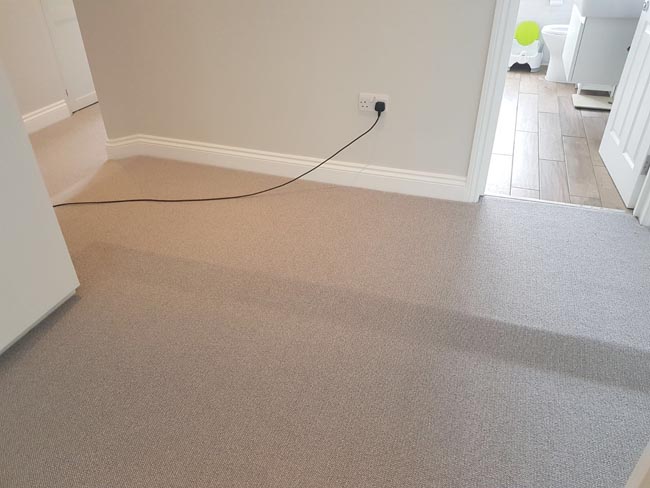 portfolio room in carpet beige 07