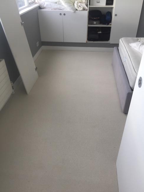 portfolio light carpet installation 06