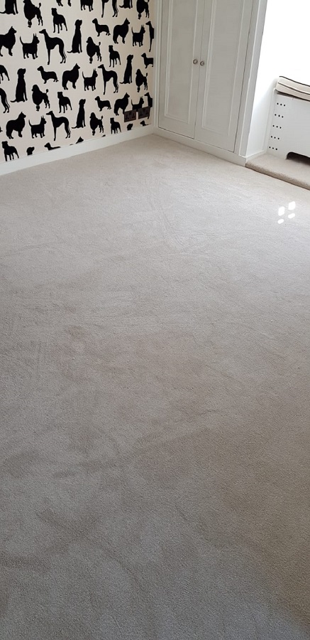 portfolio carpets elements-london-silk-simulant-carpet-acton (5)