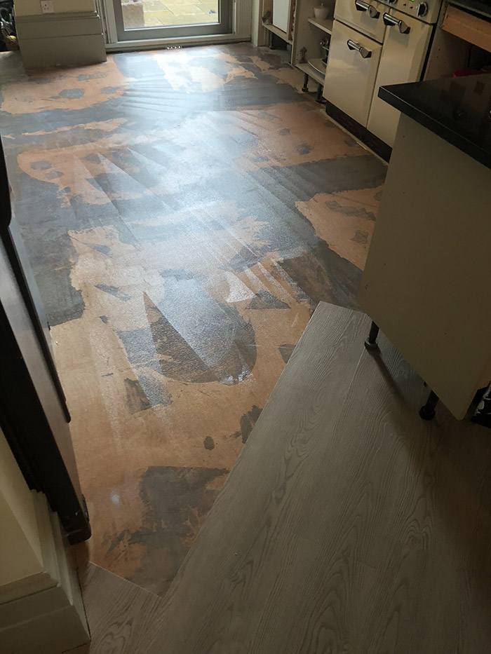 portfolio Amtico Spacia Honey Oak In Balham (1)