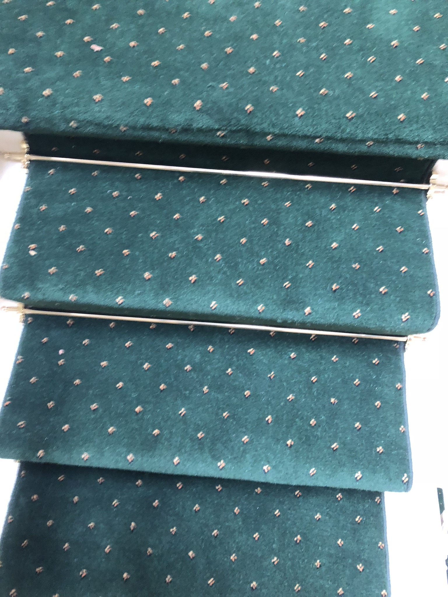 20180904_101537902_iOS