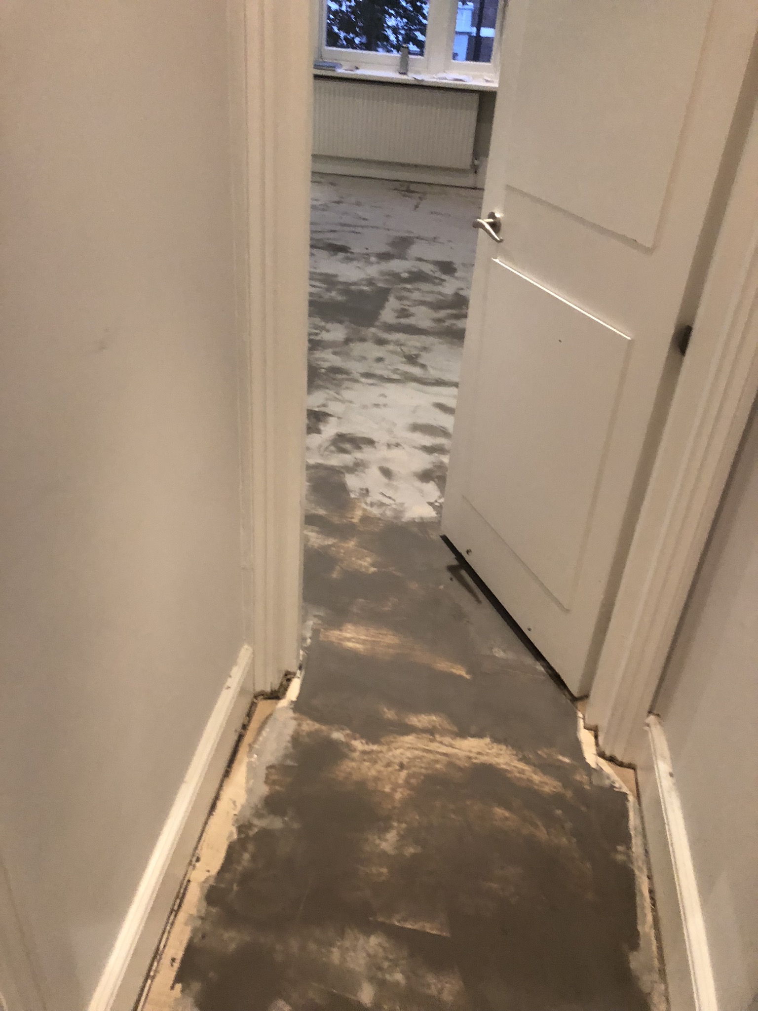 20180925_180822125_iOS