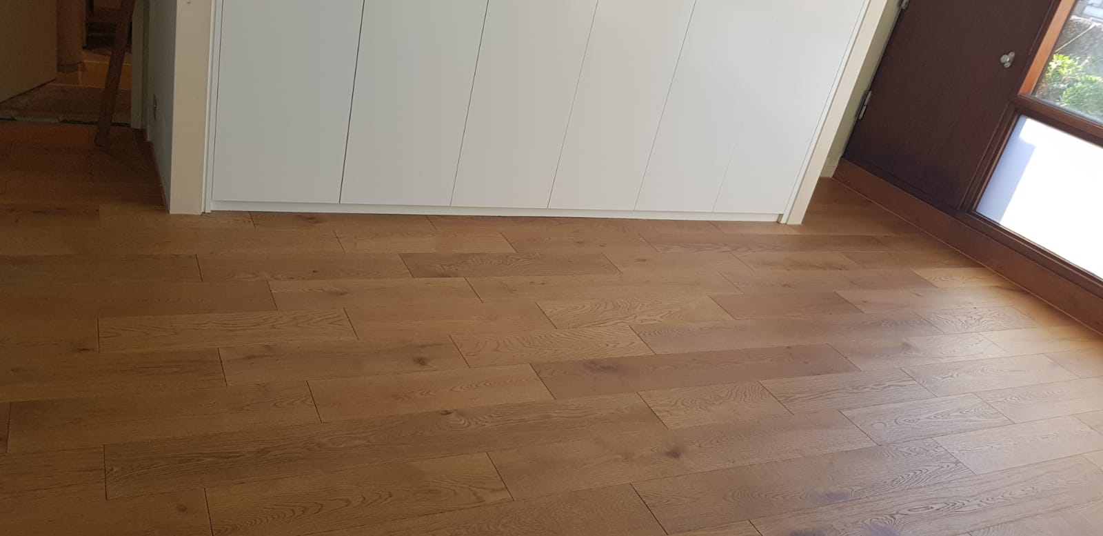 20181115_202309164_iOS