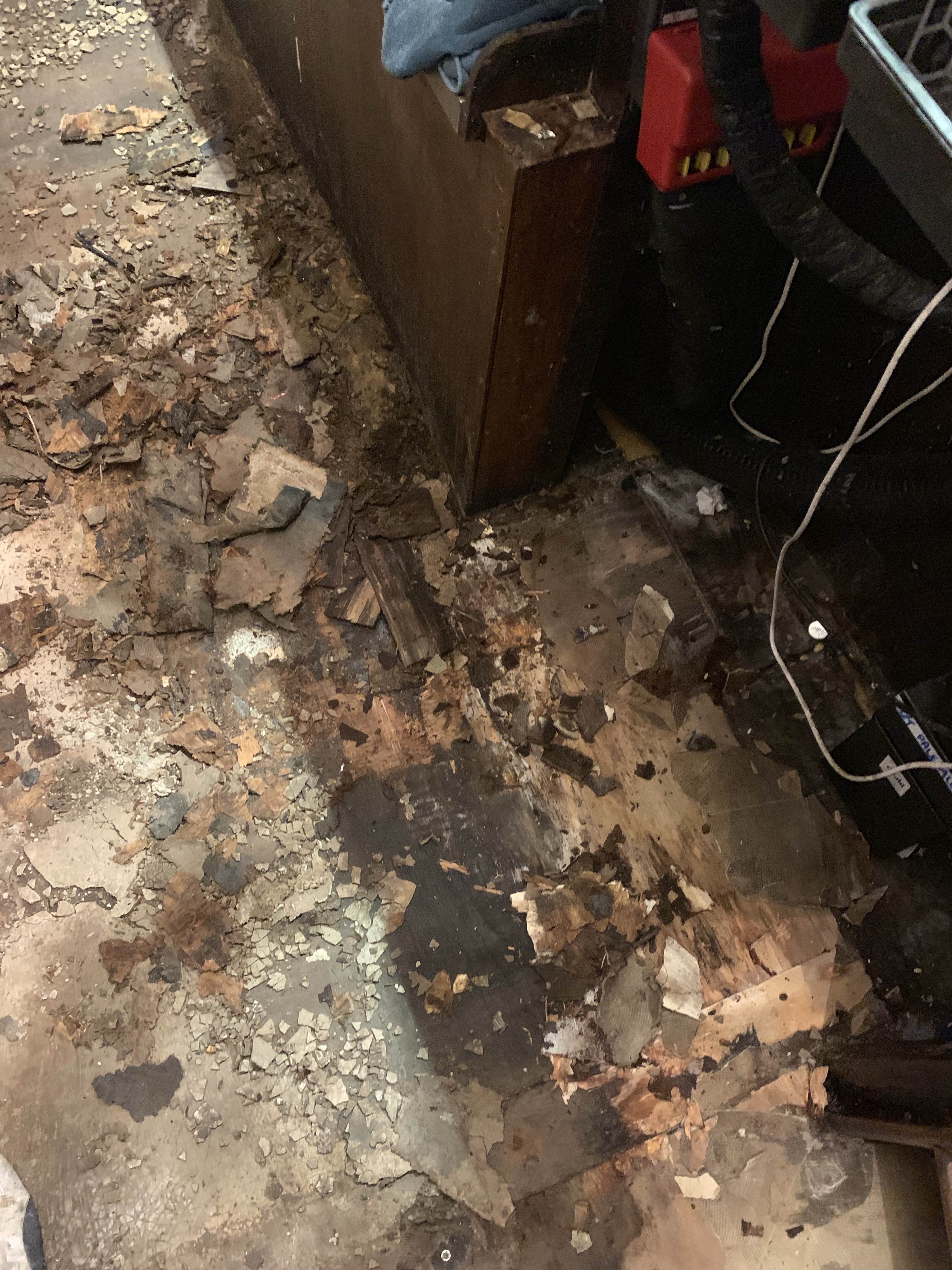 The Jolly Cricketers