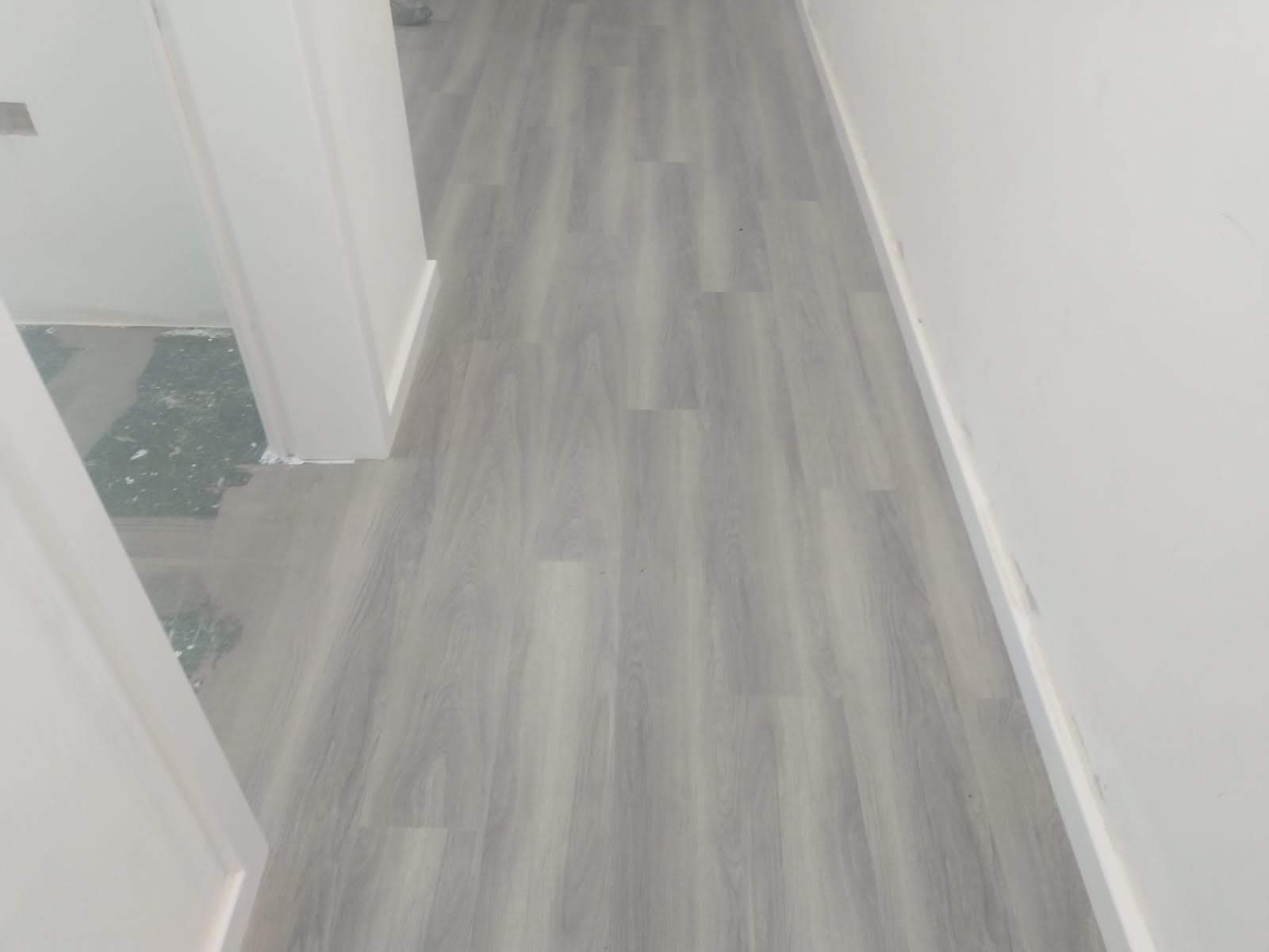 TFG SF1516 (Park-Vue Dental, 204 High Road, N22 8HH)