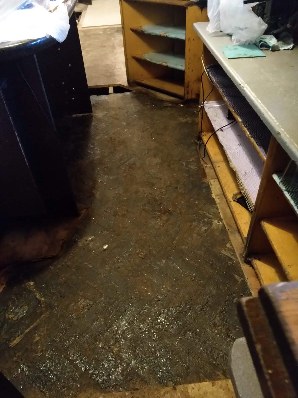 TFG SF1543 (The Elephant's Head, Camden High Street, NW1 8QR)