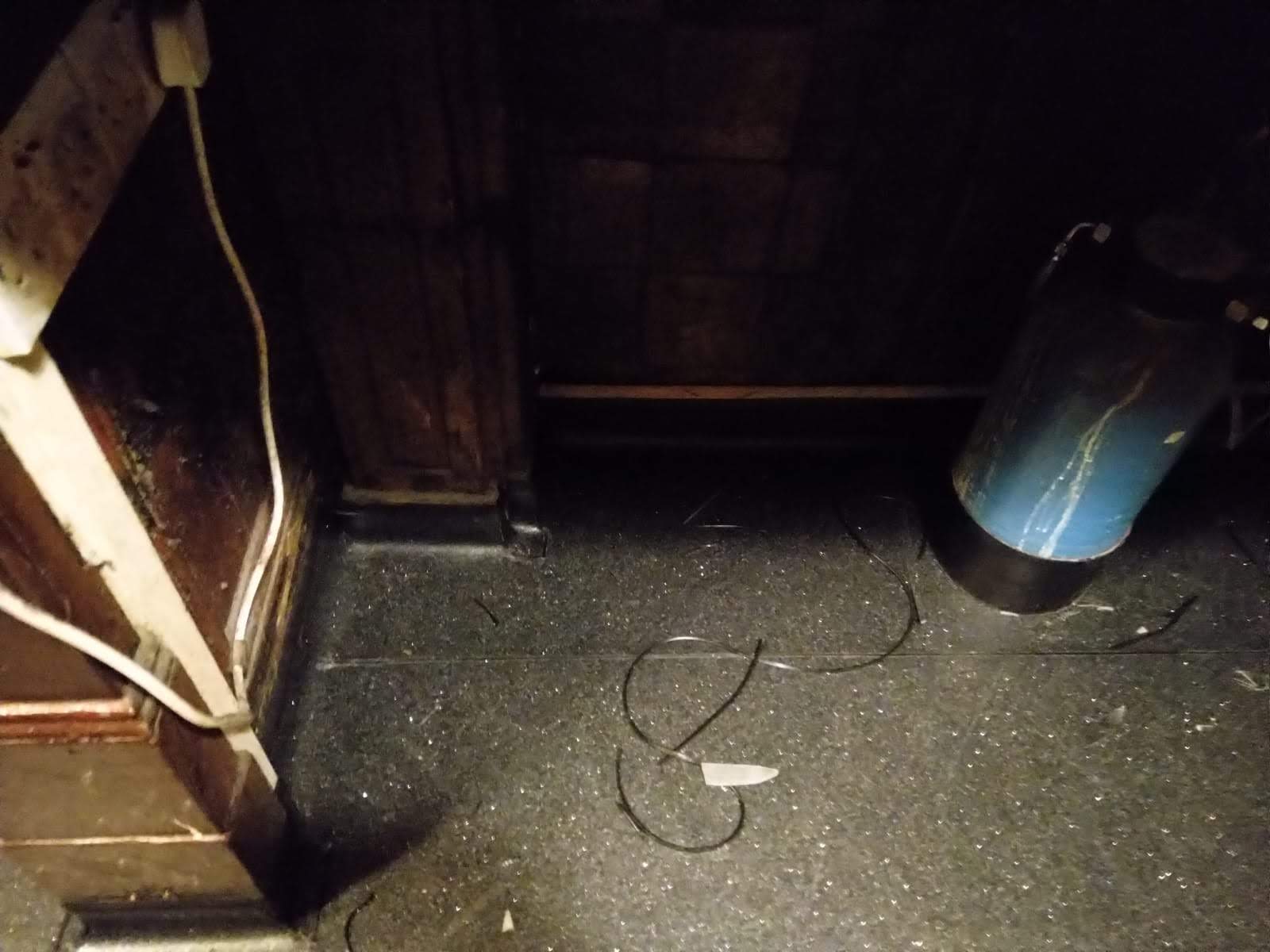 TFG SF1543 (The Elephant's Head, Camden High Street, NW1 8QR)