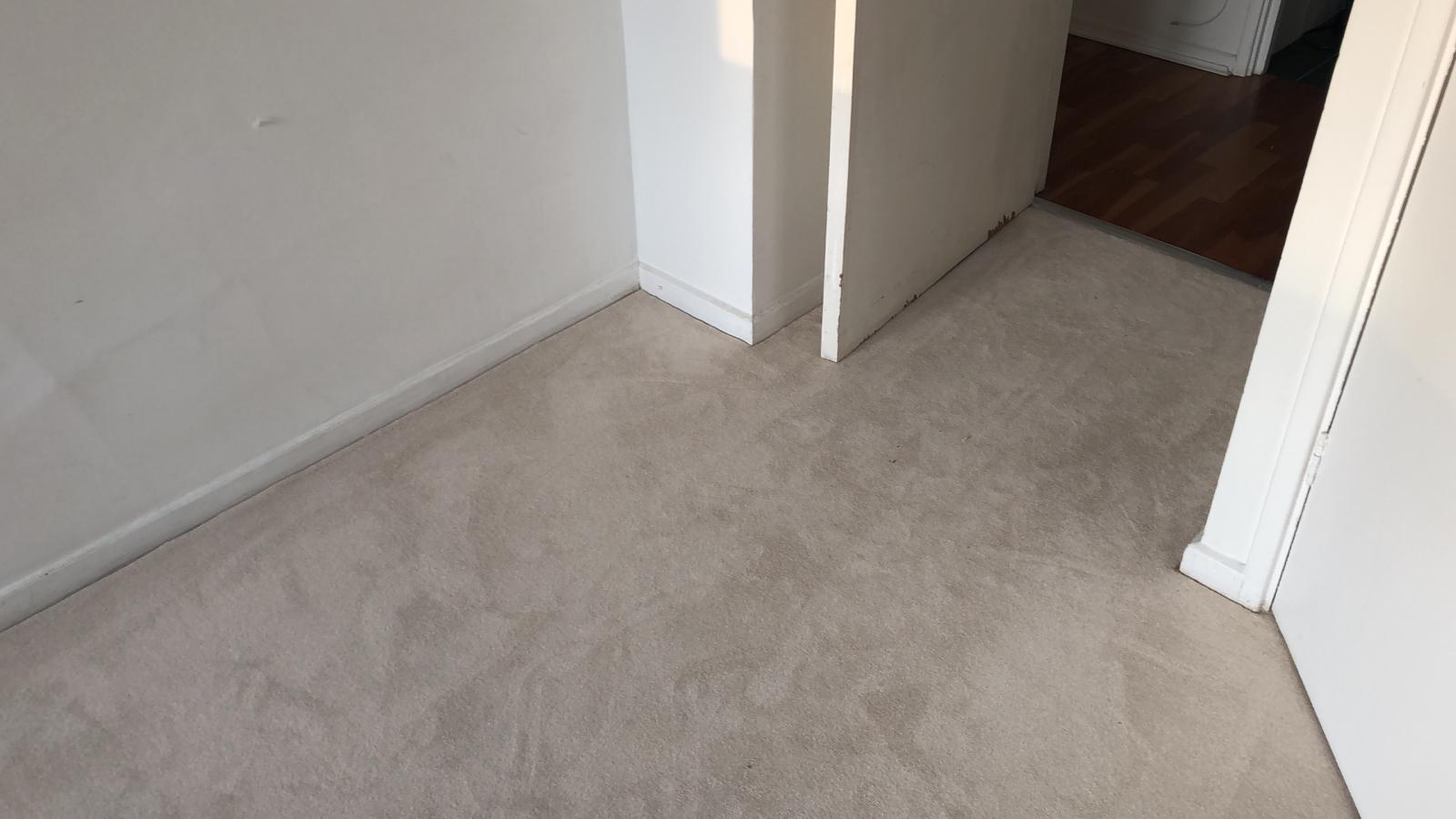 Clarendon Carpets Fitted in Stratford - Carpet - Guide