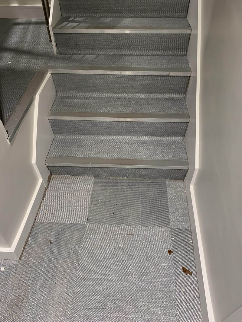 TFG SF1529 (Car Showroom, Great West Road, TW8 9BW)