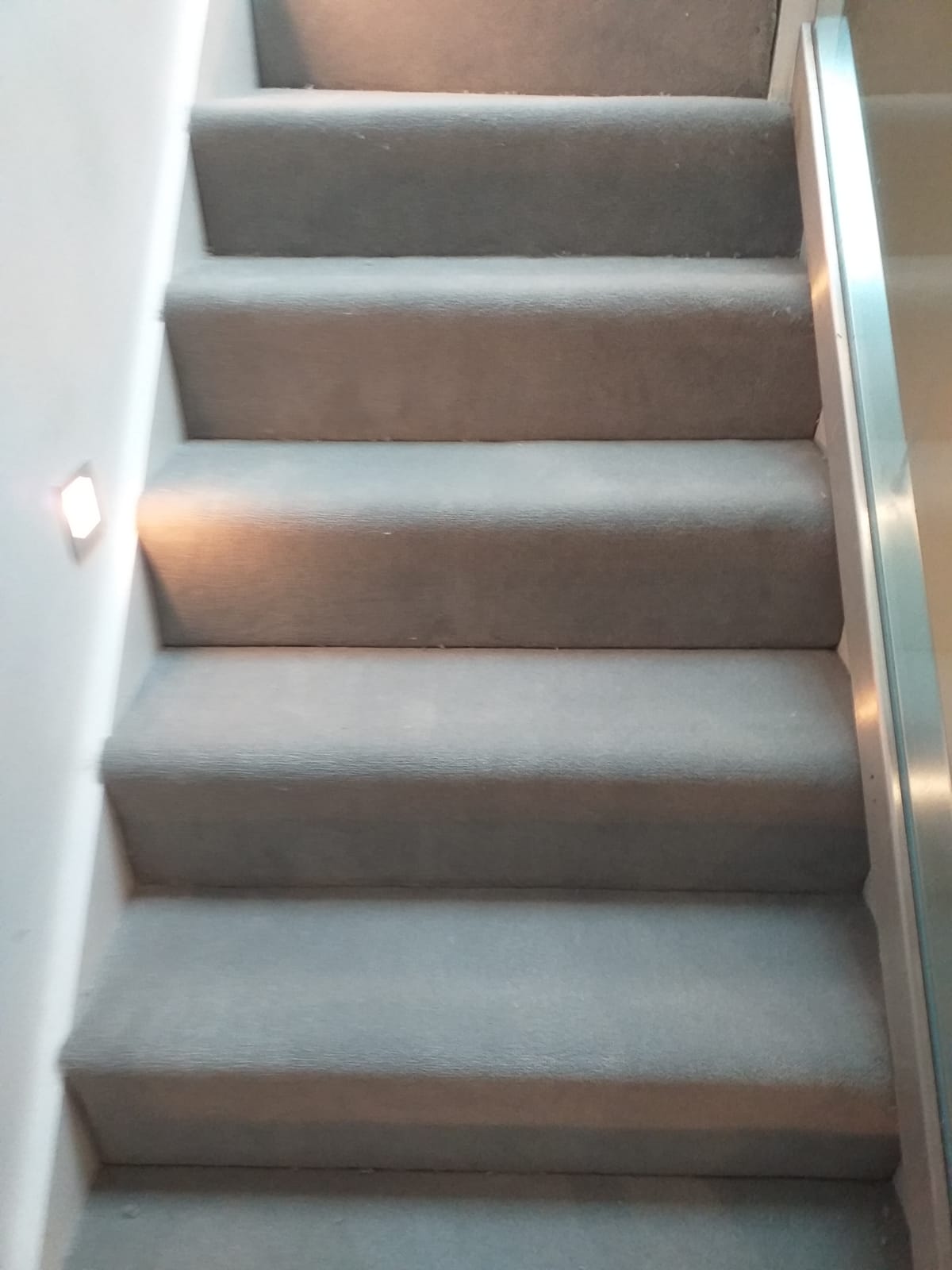 portfolio-westex-carpets-velvet-hazel-hampstead (1)