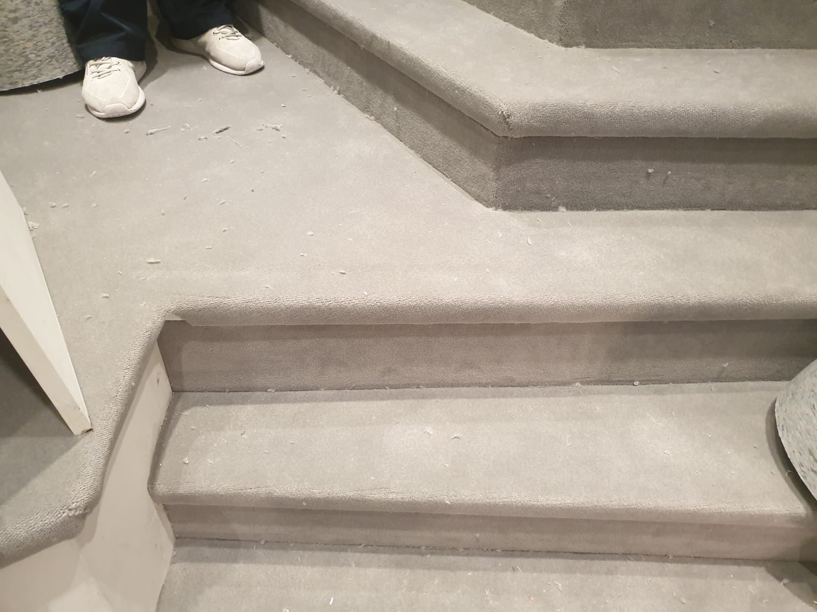 portfolio-westex-carpets-velvet-hazel-hampstead add (4)