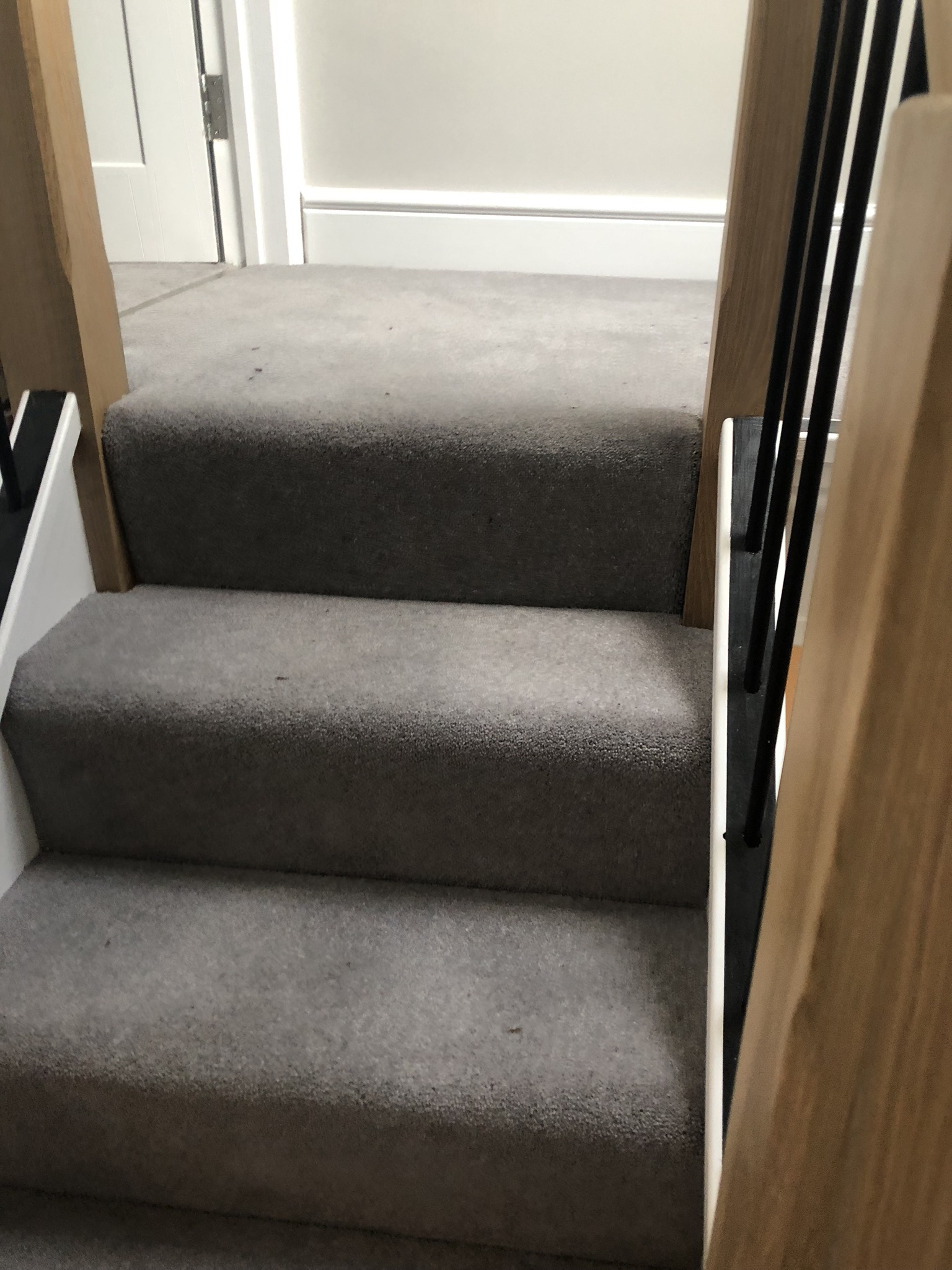 portfolio Cormar Carpets Primo Plus Installation in Earlsfield (13)