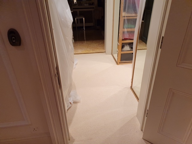 Westex Natural Loop Briar Soya Wool Loop Carpet Installed in Acton 1