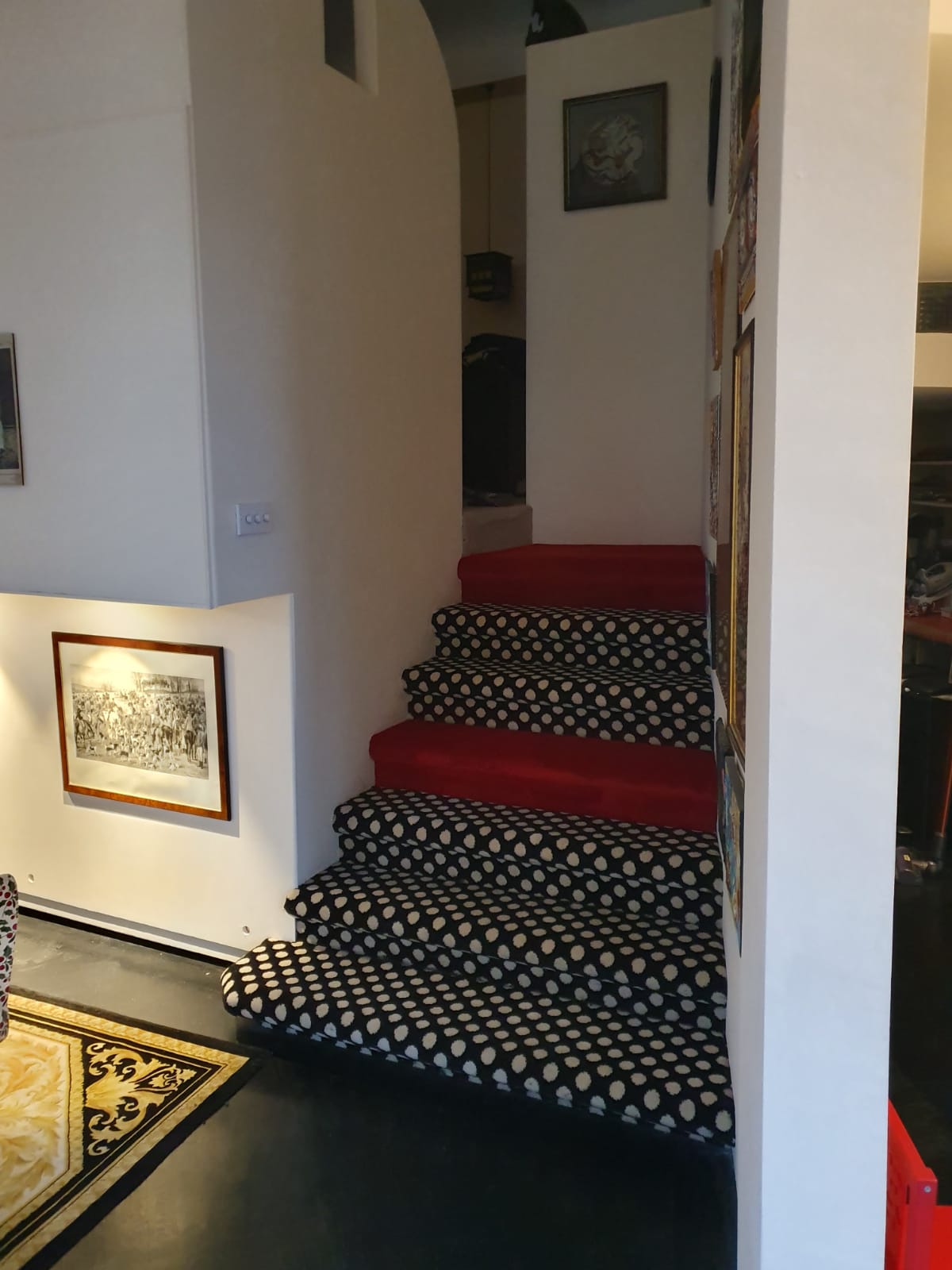 Alternative Flooring Quirky B Spotty and Westex Carpets Silken Velvet Devotion 3