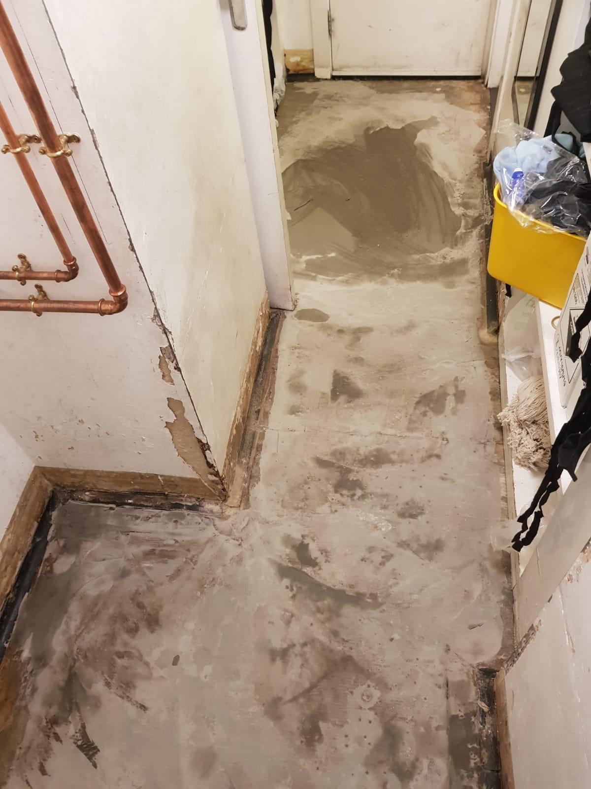 Crucial Trading Alpine Pale Shale 5