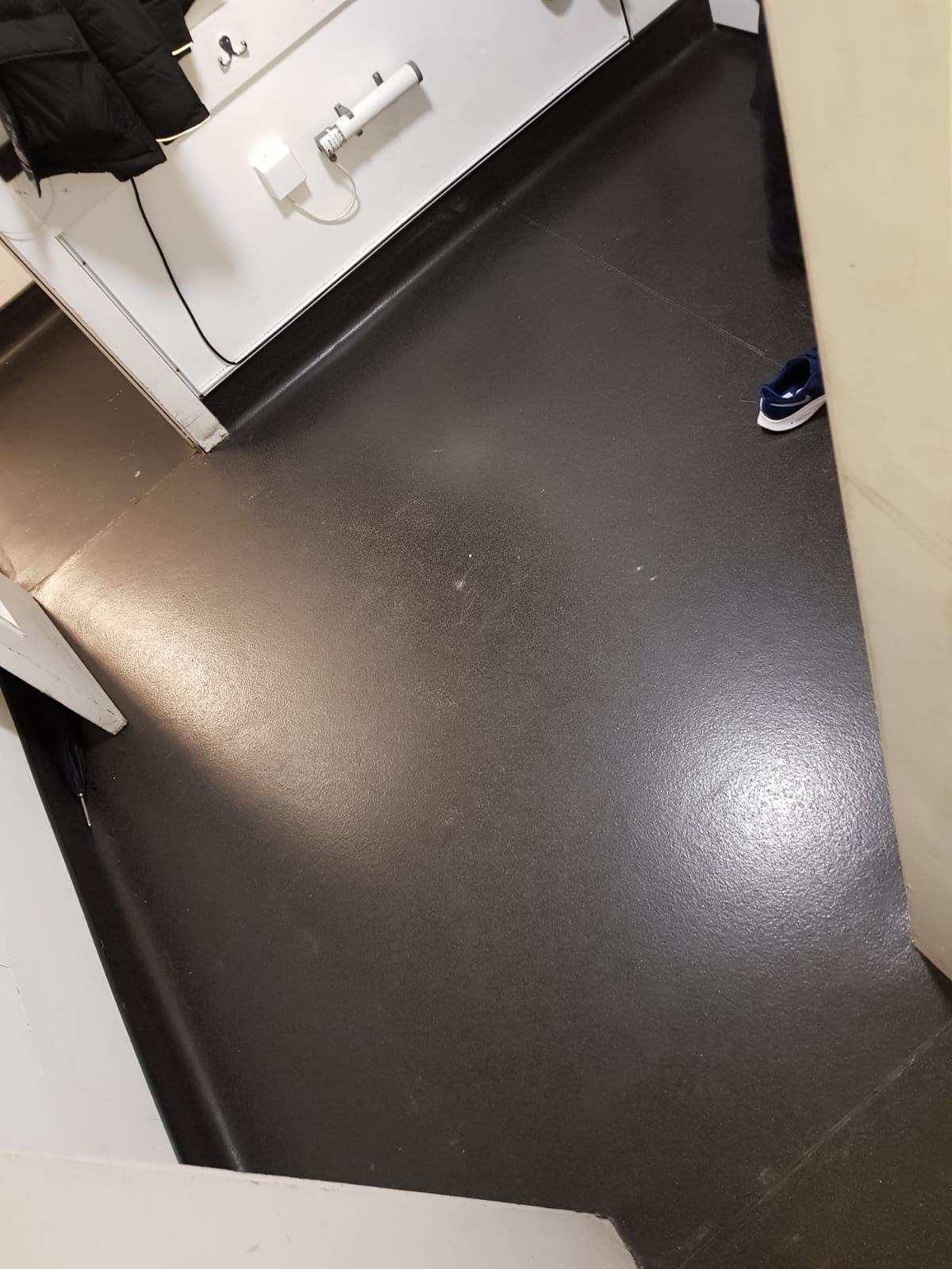 Crucial Trading Alpine Pale Shale 8