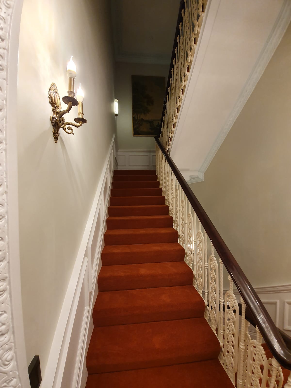 Cavalier Criterion Twist colour Ginger 2