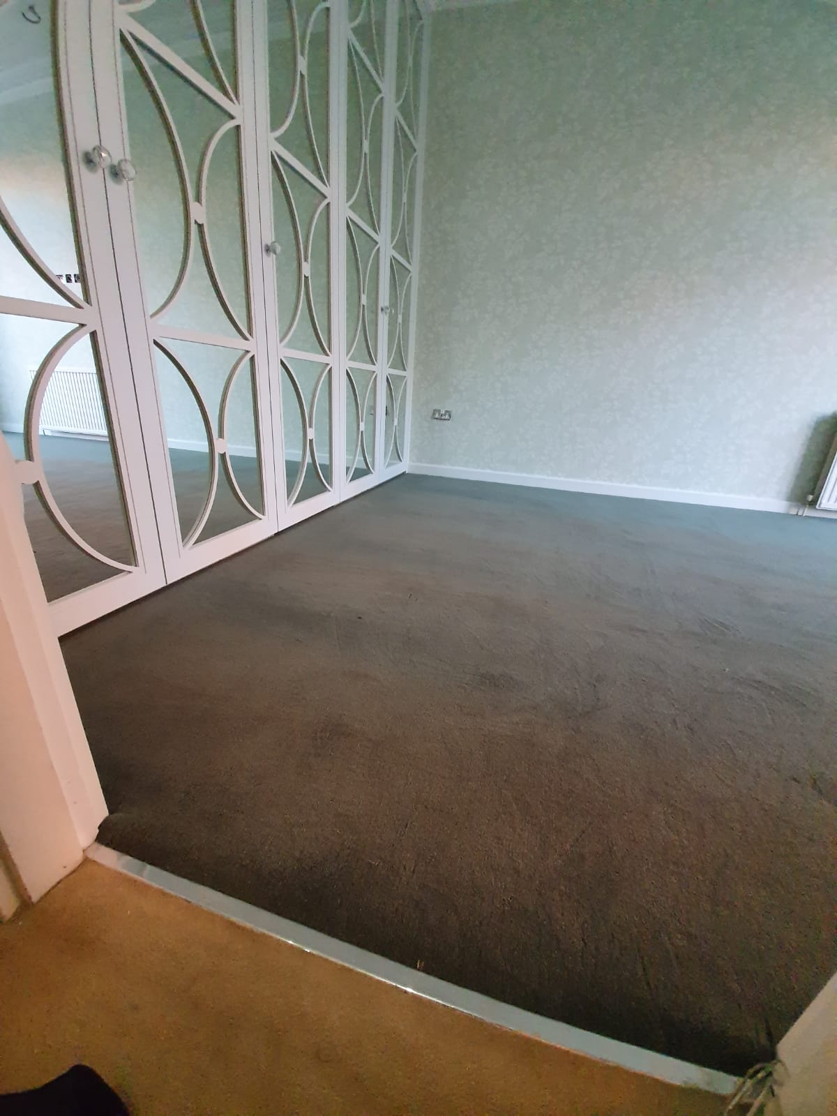 Dark Carpet to Premises 1