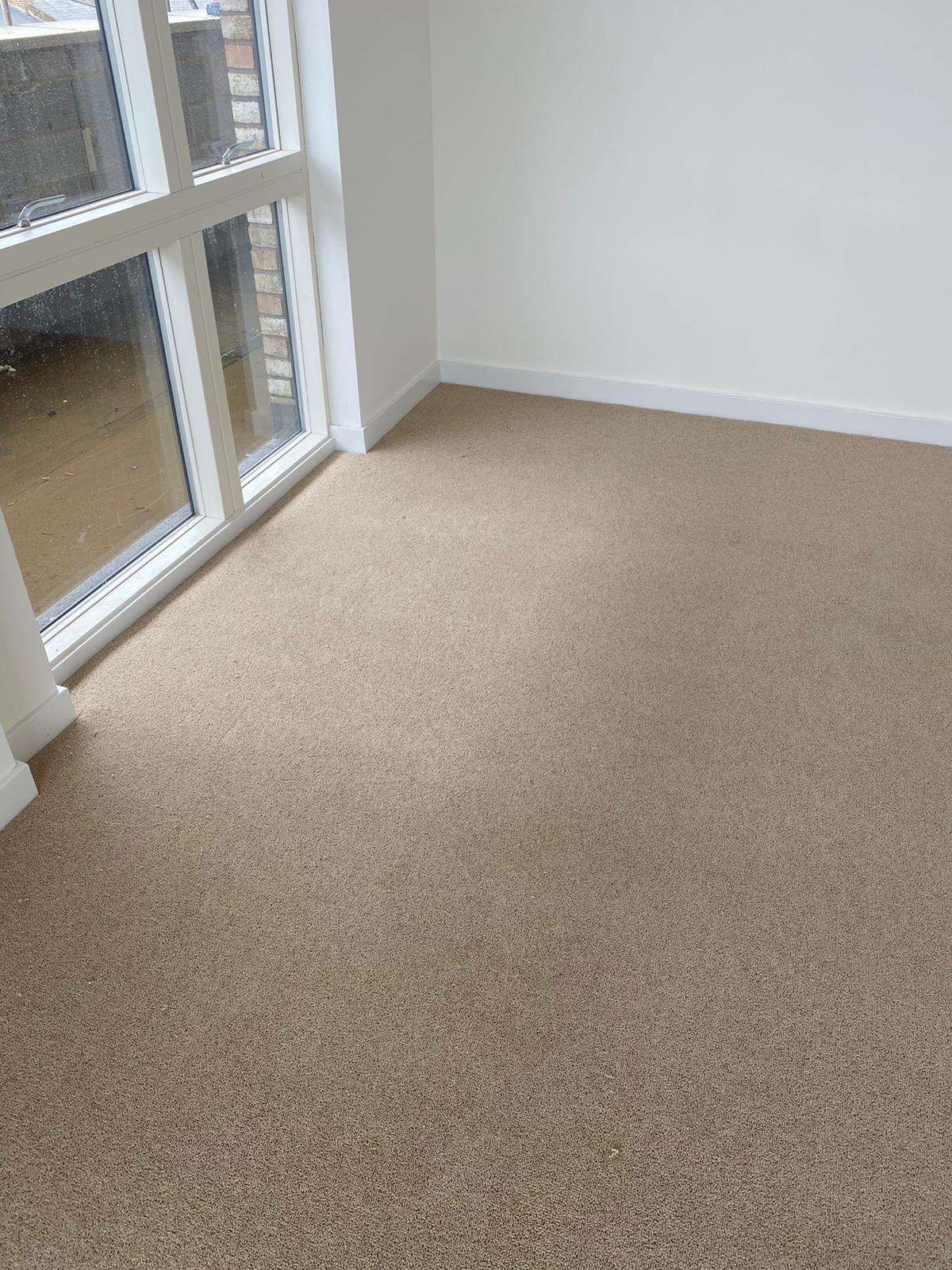 Clarendon Carpets Grosvenor Flawless Carpet 6