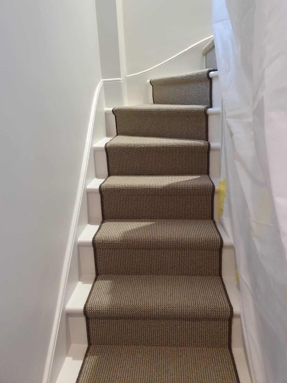 Brown Carpet With Whipping 1