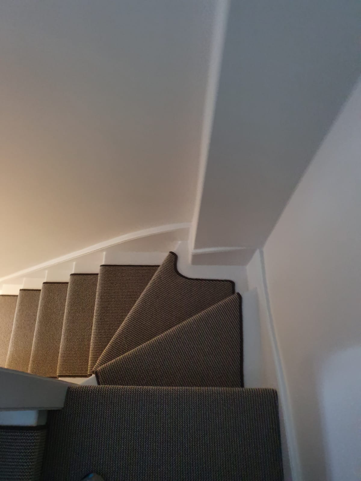 Brown Carpet With Whipping 5