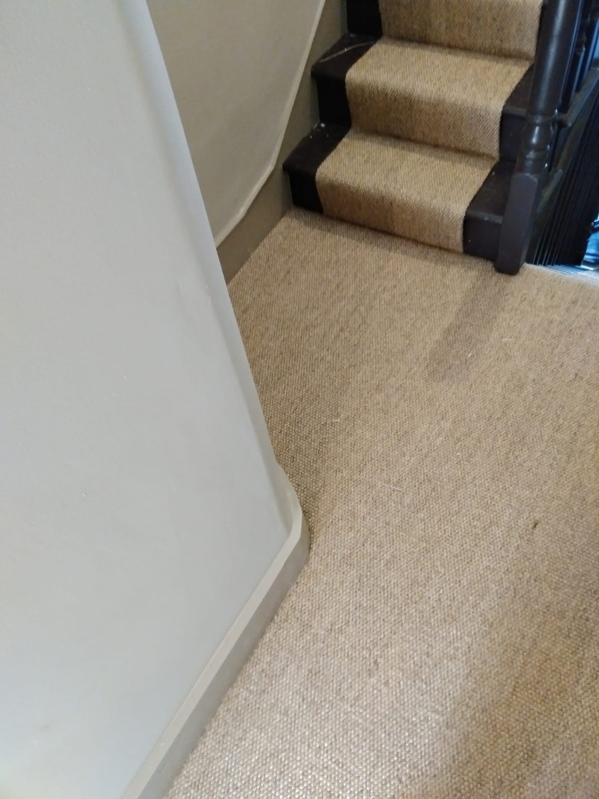 Alternative Flooring Sisal Panama Donegal Carpet 5
