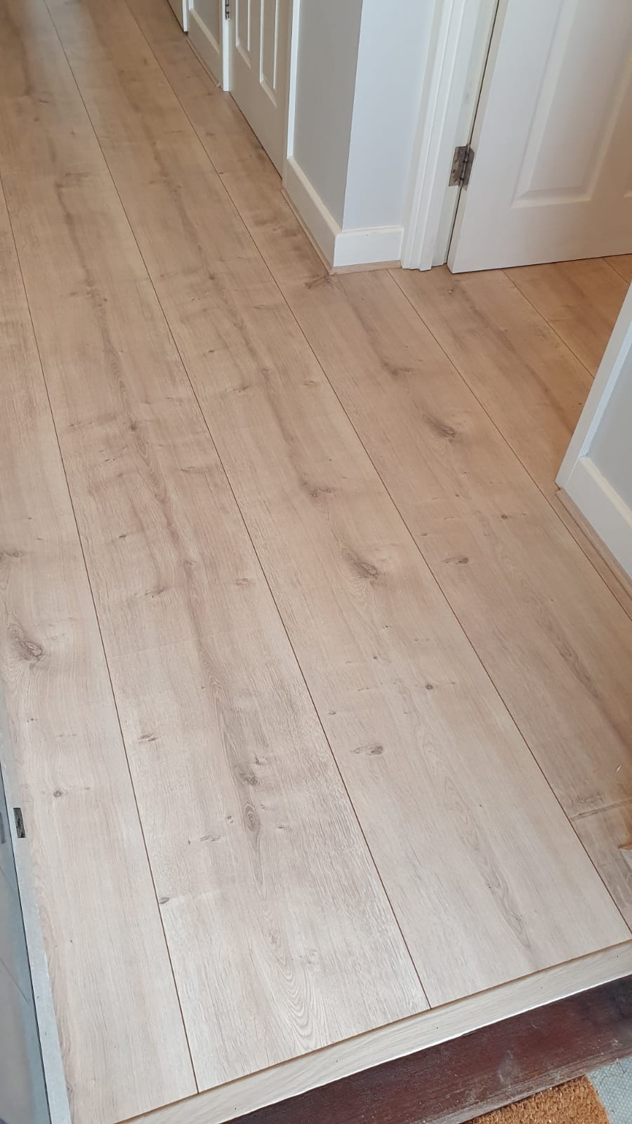 Woodpecker Winter Oak In Earls Court 2