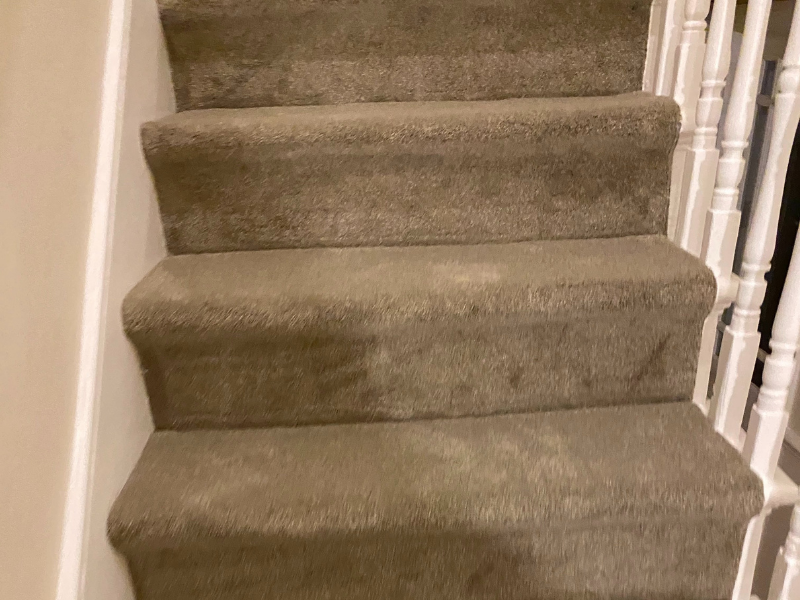 Cavalier Carpets Definition Meissen Carpet