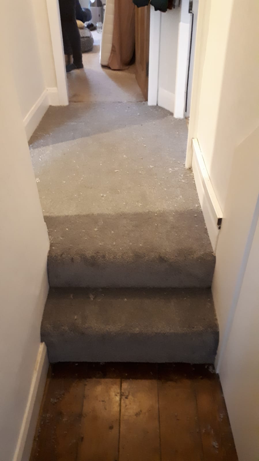 Cavalier Carpets Stainless Milton in Hammersmith 1