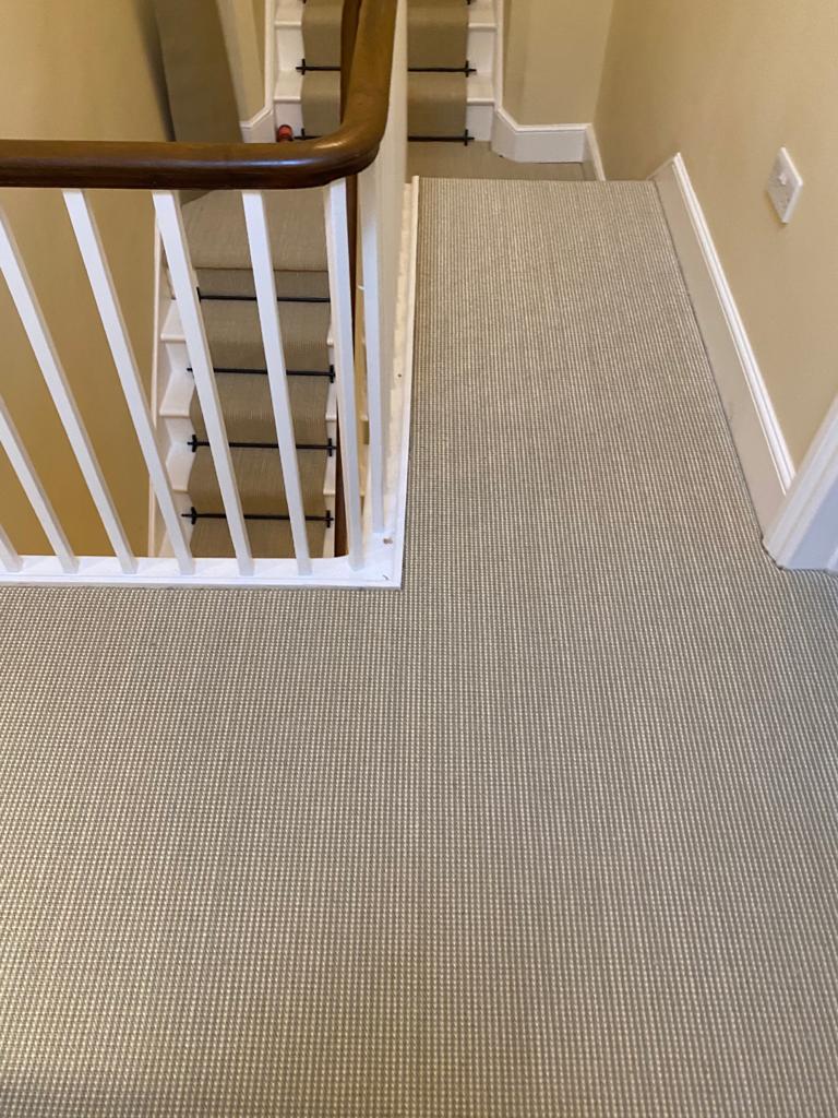 Eaton Square Mulberry Carpet In Paddington 3