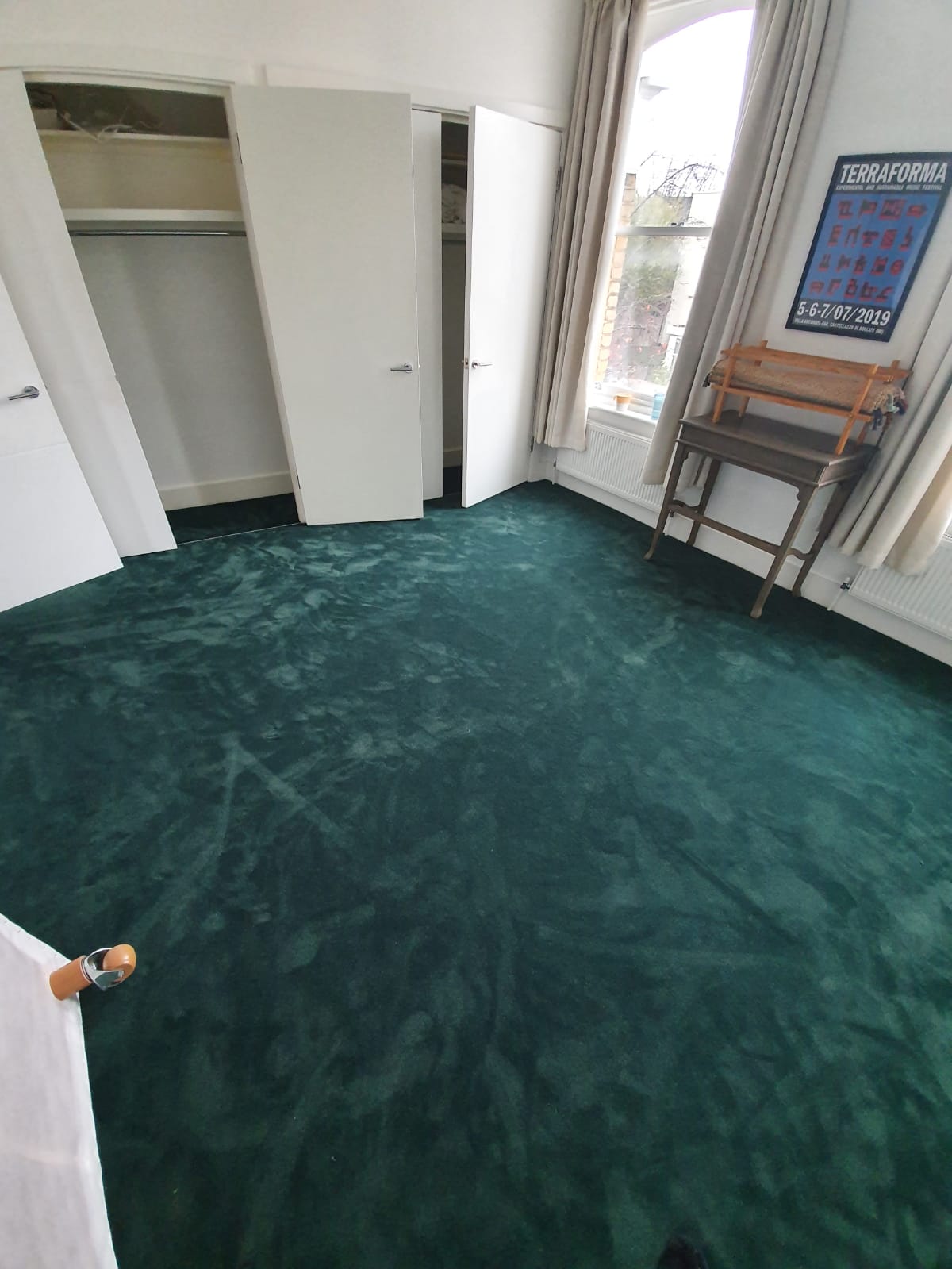 Lewis Abbott Bottle Green 241 Carpet in Marylebone 2