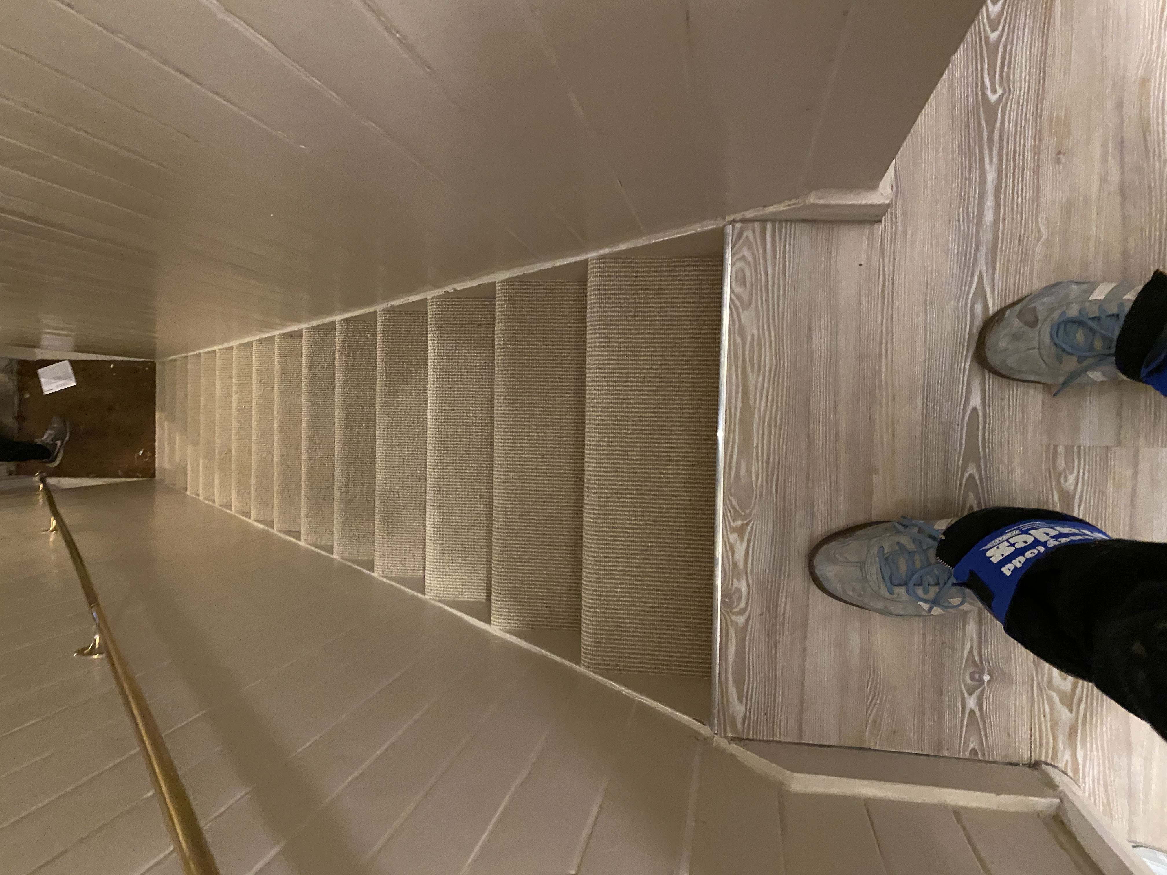 Telenzo Carpets Mainline Oxford Circus Carpet 1