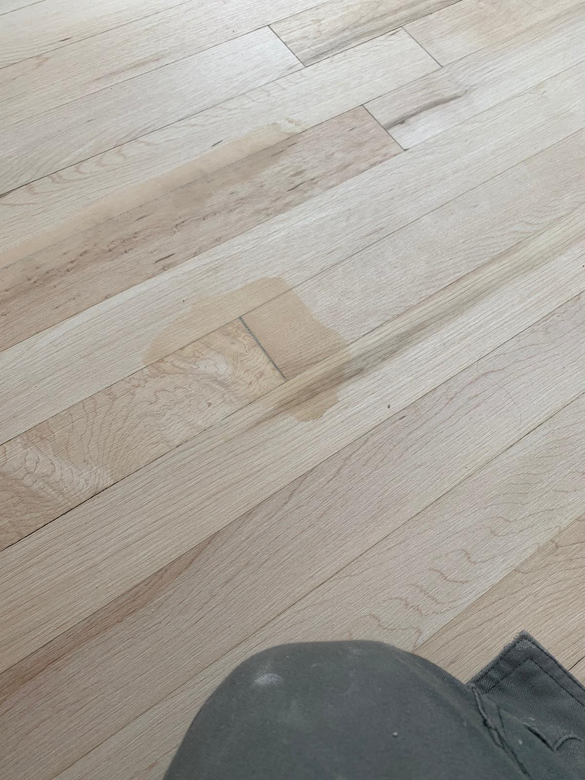 Sanding and Sealing Works 4