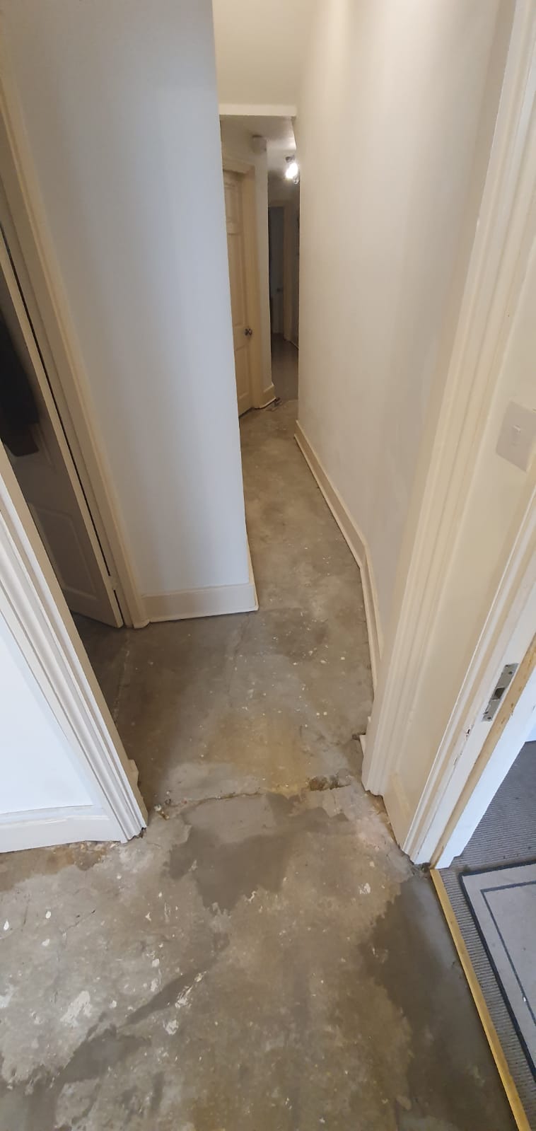 Karndean Greige Oak in Ealing 4