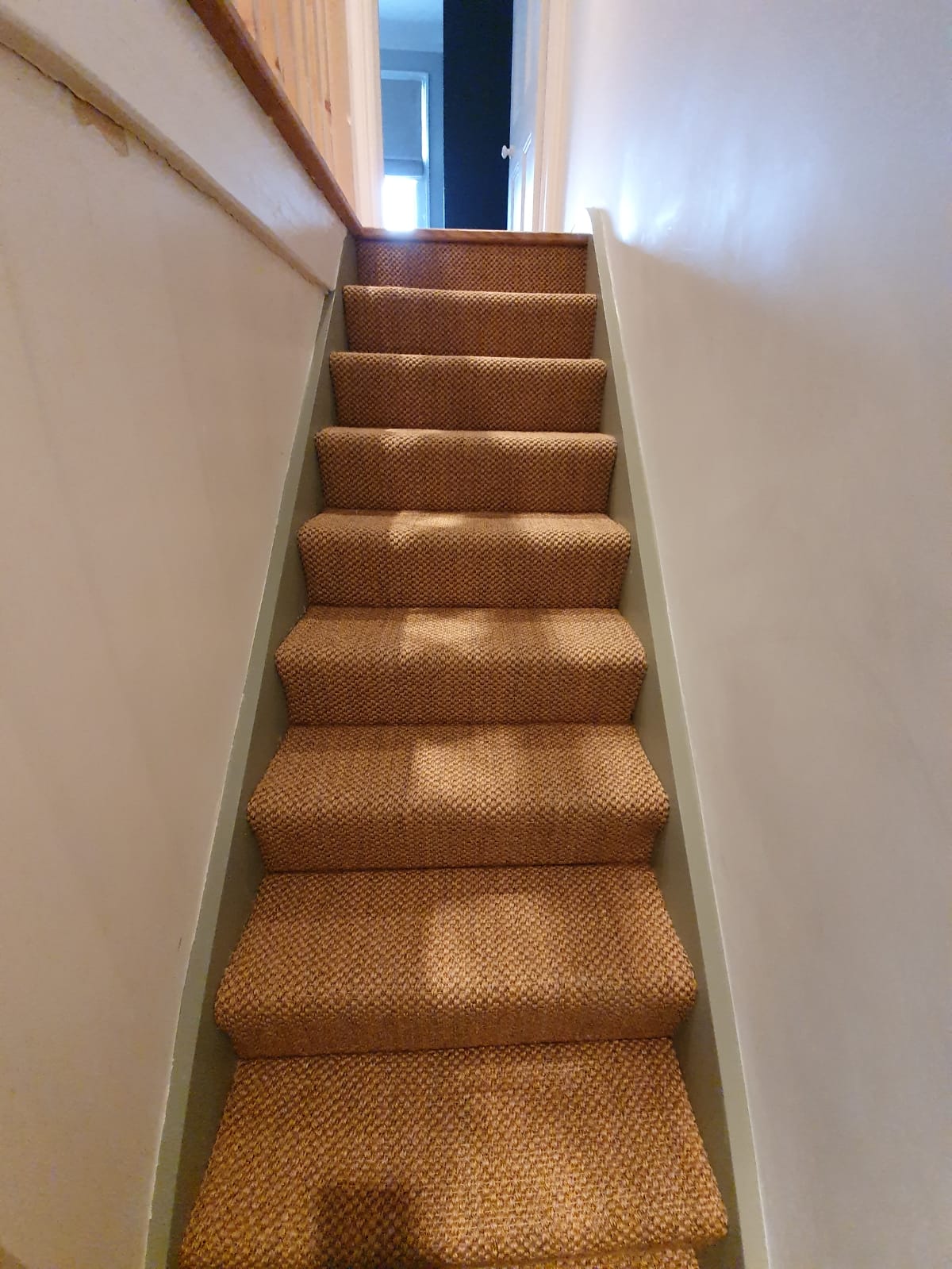 d3828acc-c96f-4621-8521-1875fadf3427