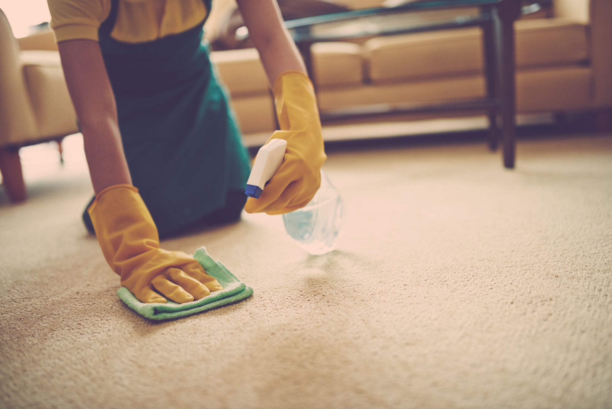 5 Must-know Carpet Care Tips to Keep Your Floors Looking Fresh - Carpet - Guide