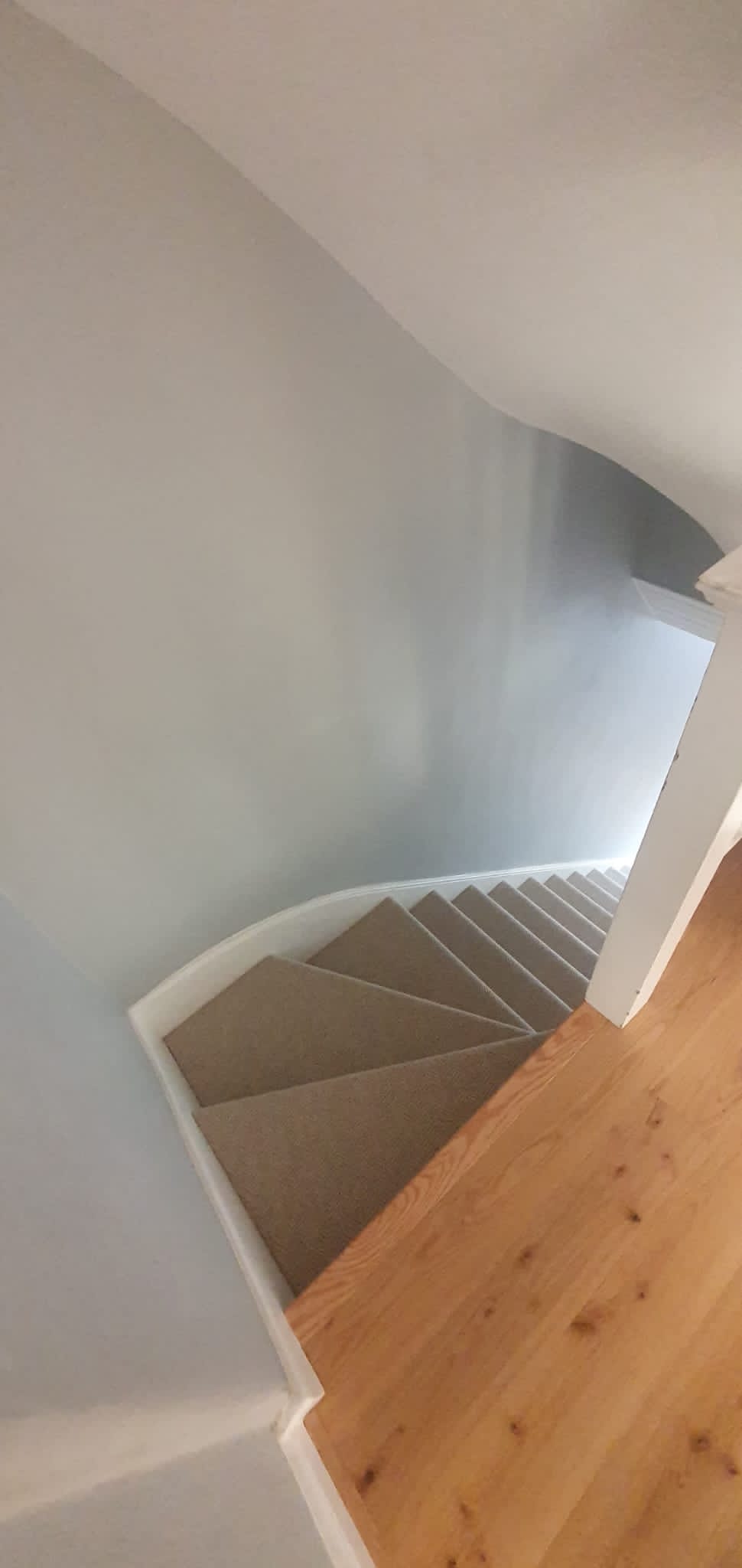 Clarendon Carpets Mayfair Natural installation in Islington