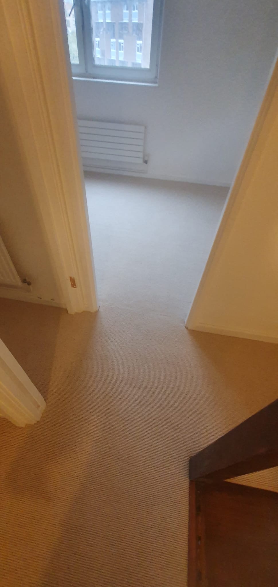 Fibre Carpets Wool Arcadian Heligan installation in Camden-2